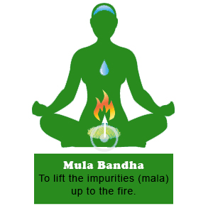 Mula Bandha Yoga in Gurgaon