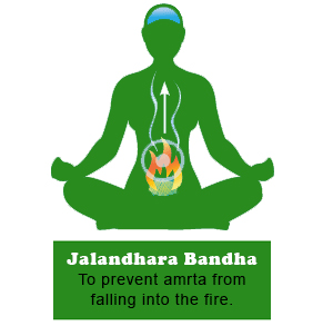 Jalandhar Bandh Yoga in Gurgaon
